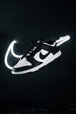 Nike Dunk Low Black &amp; White (PRE-OWNED)