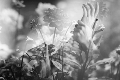 Photographie noir et blanc. Double exposition. Mains et fleurs