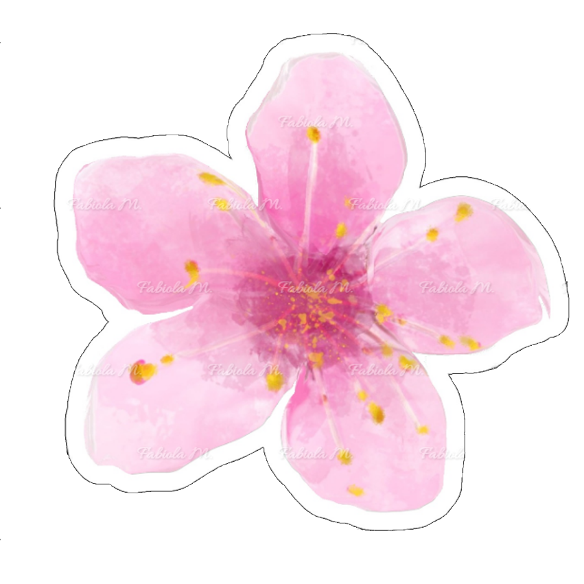 Die Cut Cherry Blossom Sticker