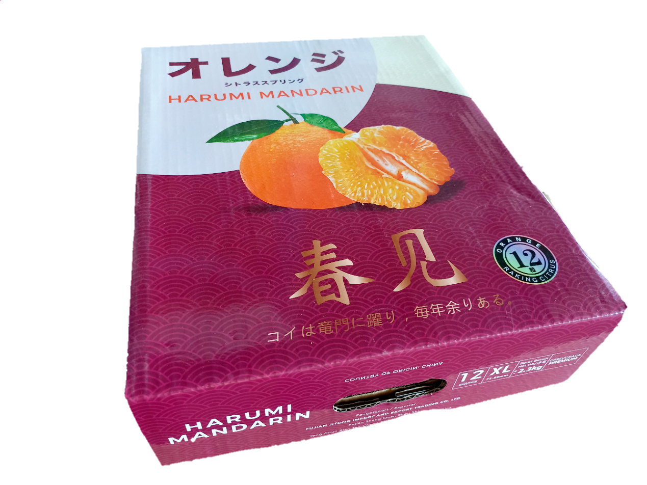 Harumi Orange  XL