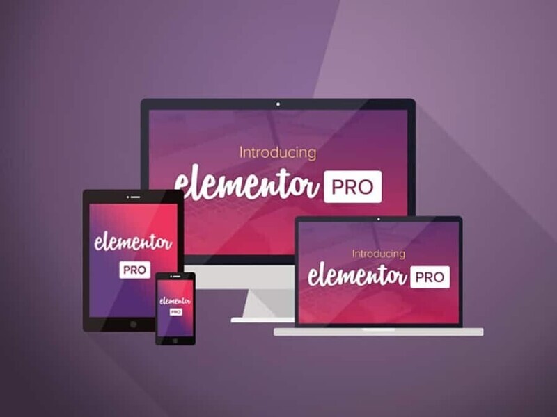 Elementor Pro