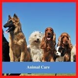 ANIMAL CARE