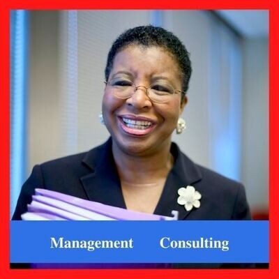 MANAGEMENT CONSULTING BUSINESS OPERATIONS