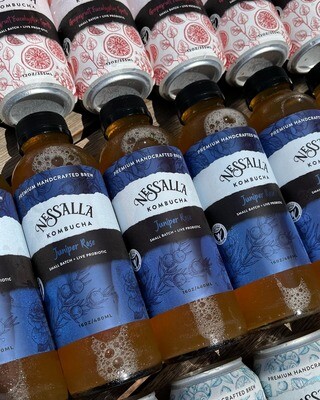 ALL Kombucha Options