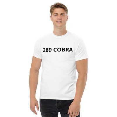 Men&#39;s heavyweight tee 
