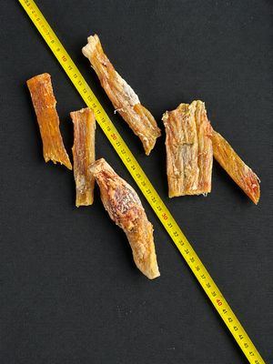 Ligaments de Bœuf Petit Modèle Ligaments de Bœuf Petit Modèle