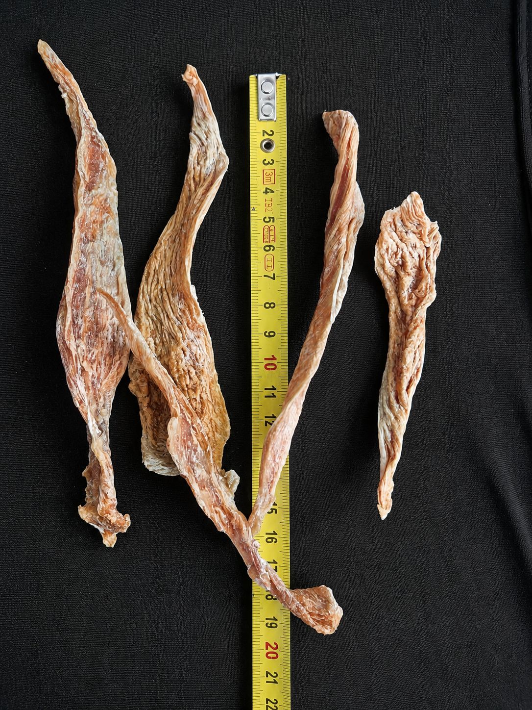 Sticks de Poulet