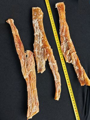 Ligaments de Bœuf Grand modèle