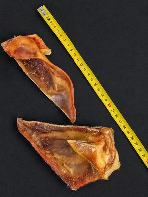 Demi Oreille de Porc