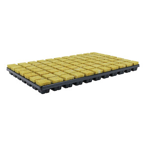 Cultilene 35 x 35 x 40mm Square 77 Cell Tray