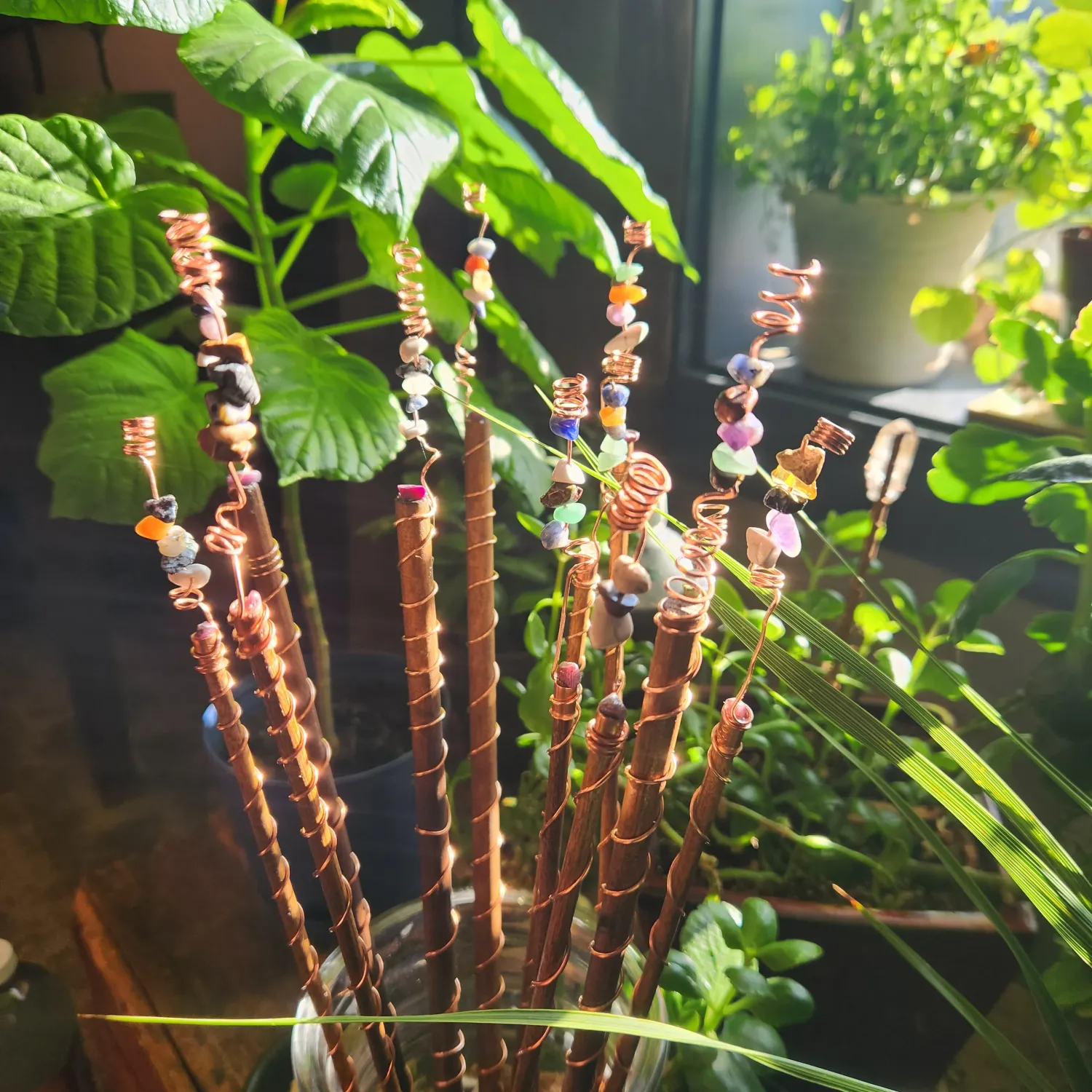 Electroculture: A Beginner's Dive: Sept. 6th