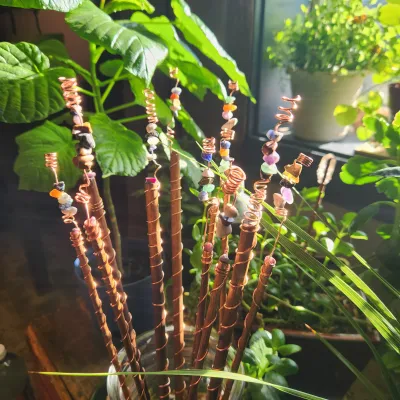 Electroculture: A Beginner&#39;s Dive: Sept. 6th