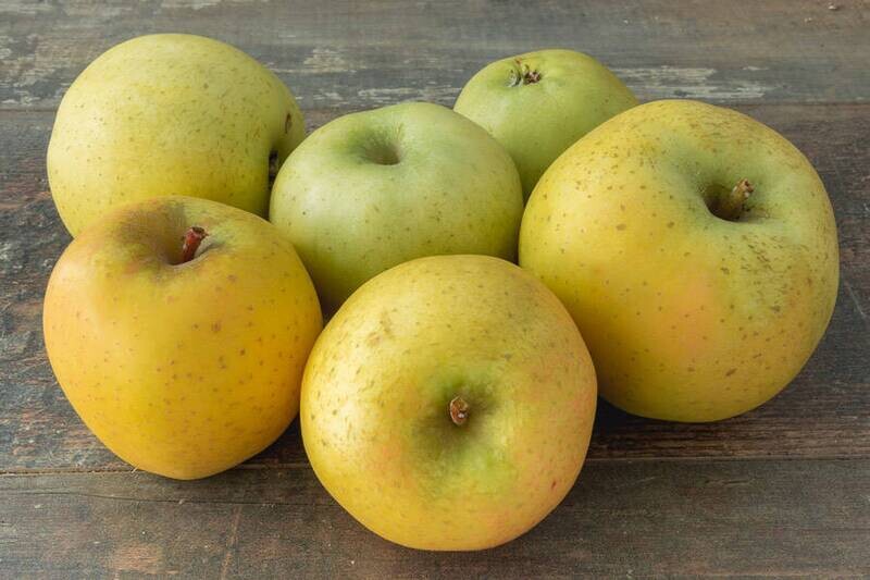 Pommes Chantecler BIO par kilo (3,5 euros par kilo : prix calculé lors de la collecte)