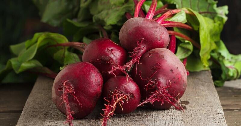 Betteraves rouges BIO par botte