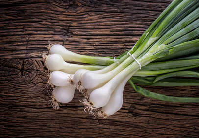 Oignons blancs BIO par botte