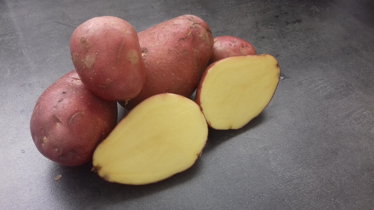 Pommes de terre nouvelles Jeannette (peau rouge) et BIO par Kg