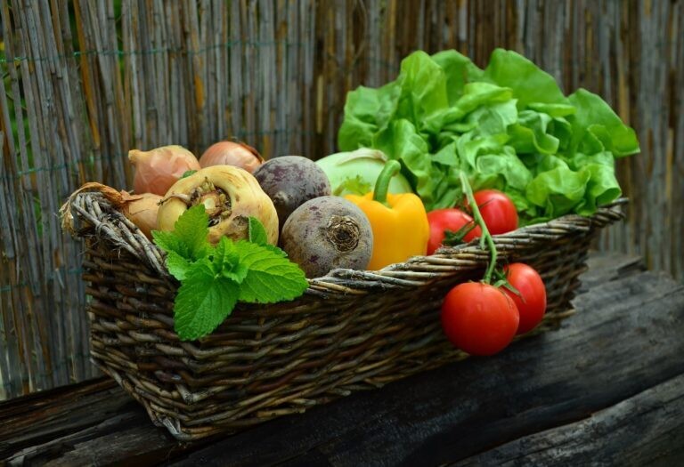 Panier &quot;DUO&quot; de légumes BIO de saison