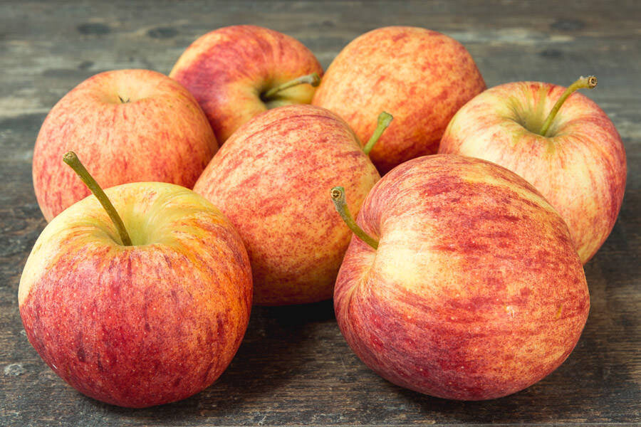 Pommes Gala BIO par kilo (3,5 euros par kilo : prix calculé lors de la collecte)