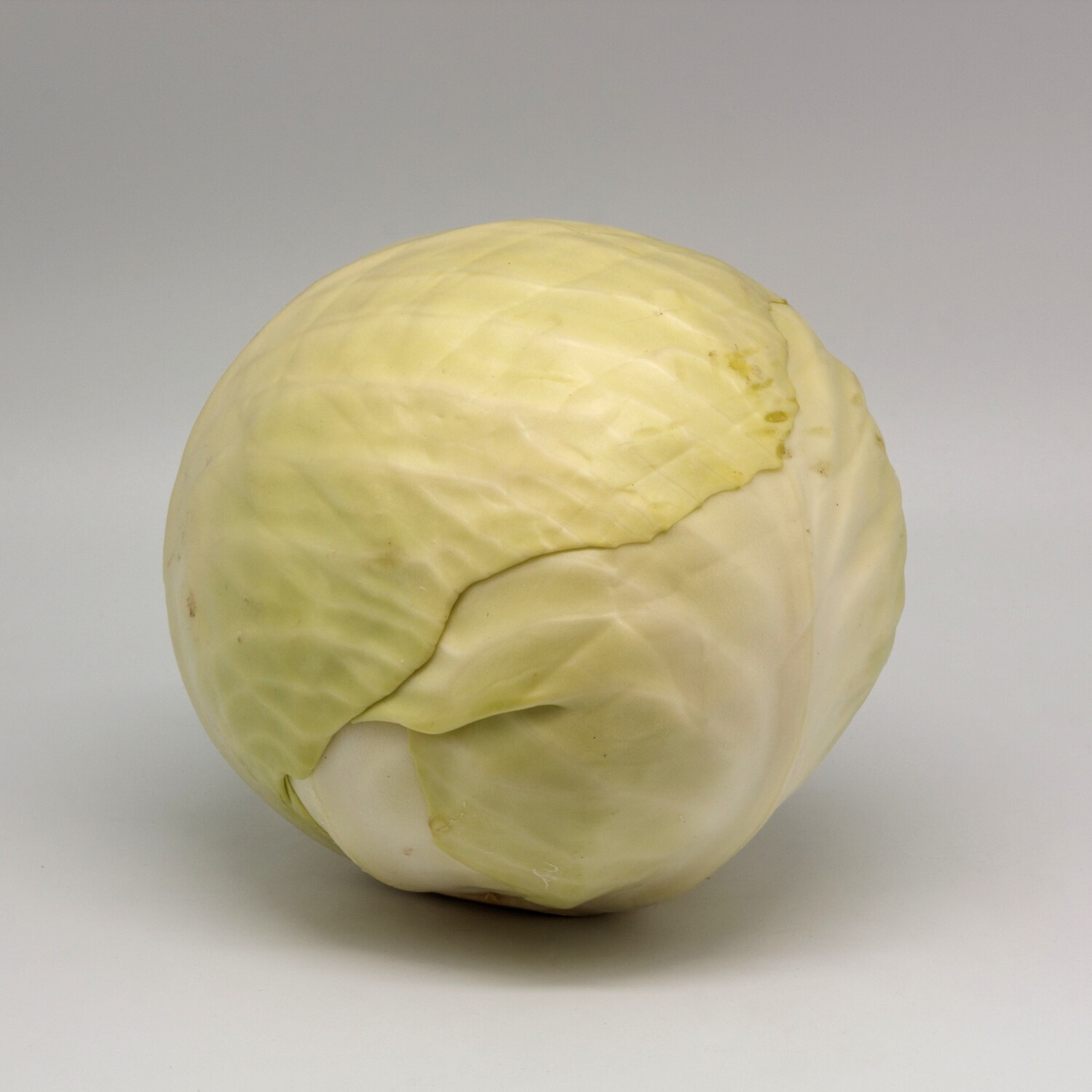 Chou cabus blanc BIO à l&#39;unité