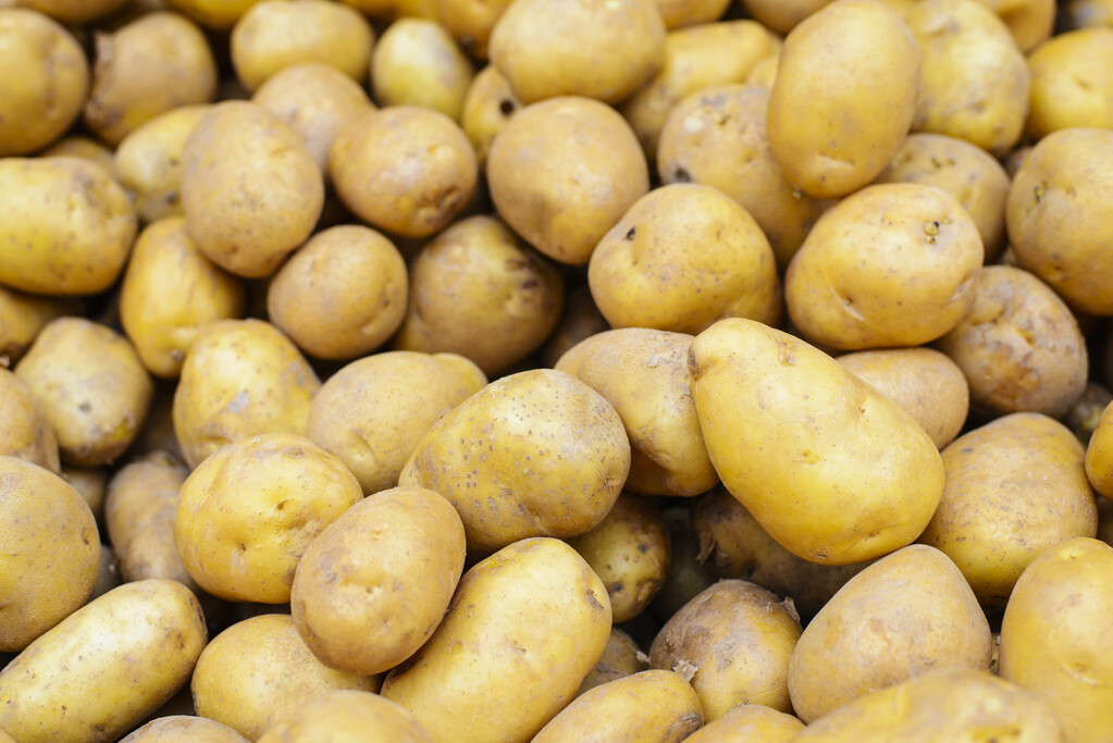 Pommes de terre Allians BIO par Kilo