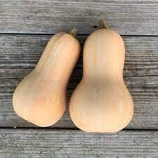 Courge Butternut BIO environ 1 kilo