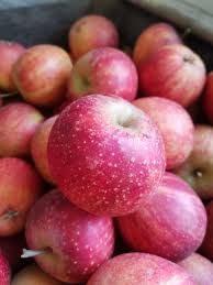 Pommes Rubinette BIO par kilo (3,5 euros par kilo : prix calculé lors de la collecte)