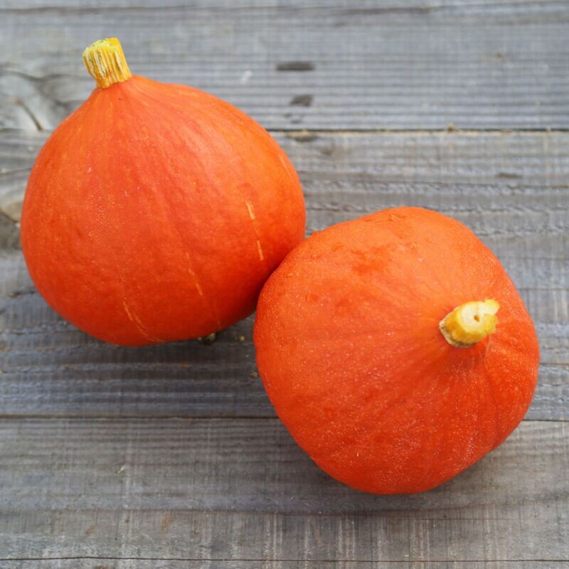 Potimarron BIO en part de 1 kg environ