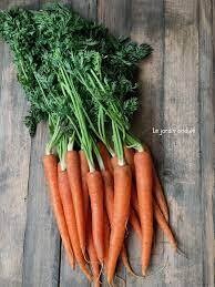 Carottes nouvelles BIO par botte