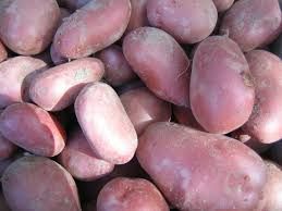 Pommes de terre Rubis BIO par kilo