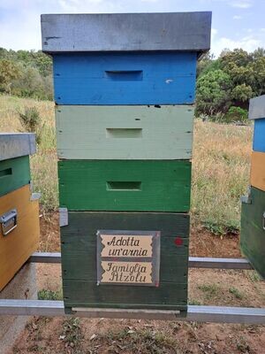 Adopt a hive Premium