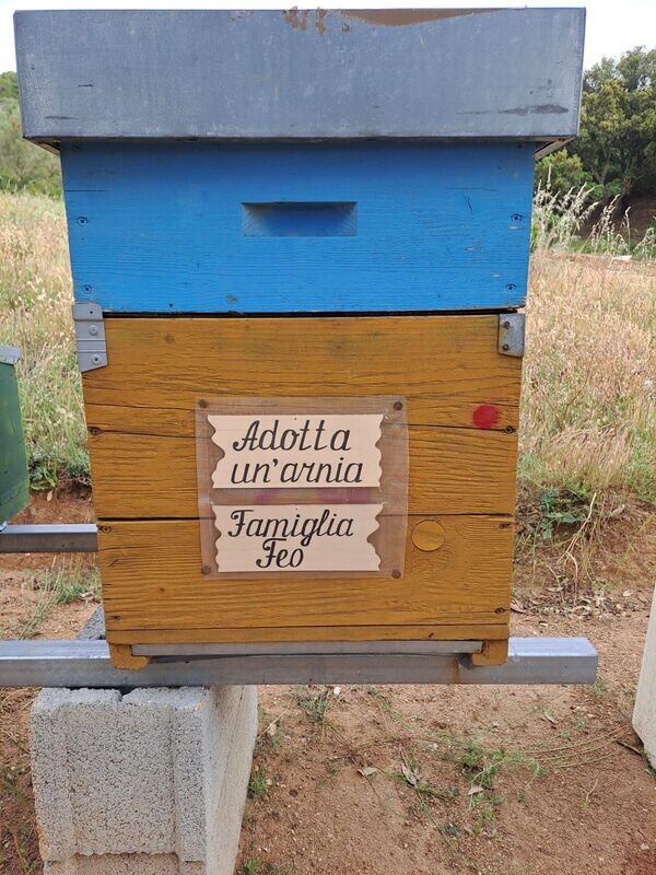 Adotta un'arnia: versione small