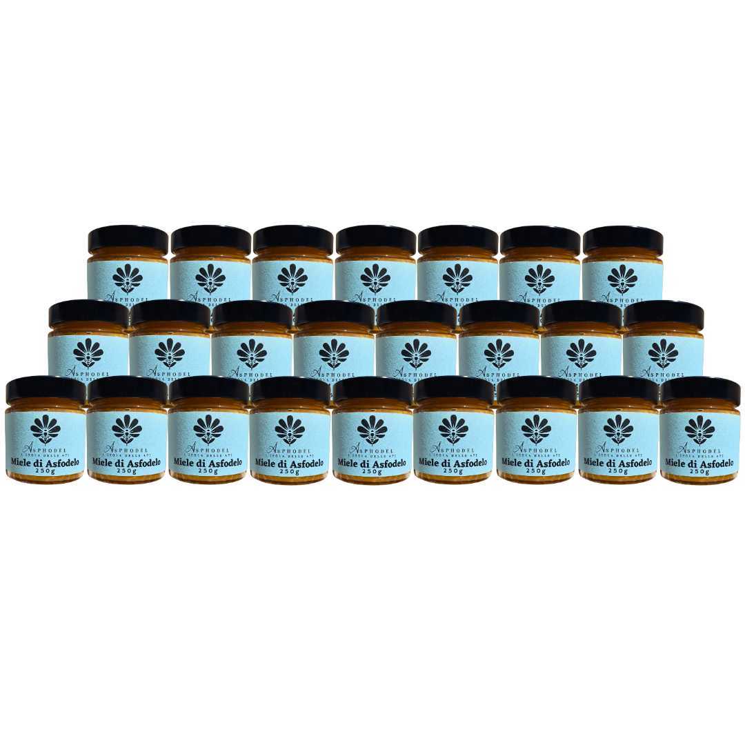 ASFODELO - Wild natural asphodel white honey - 250g B2B scatola da 24 vasetti