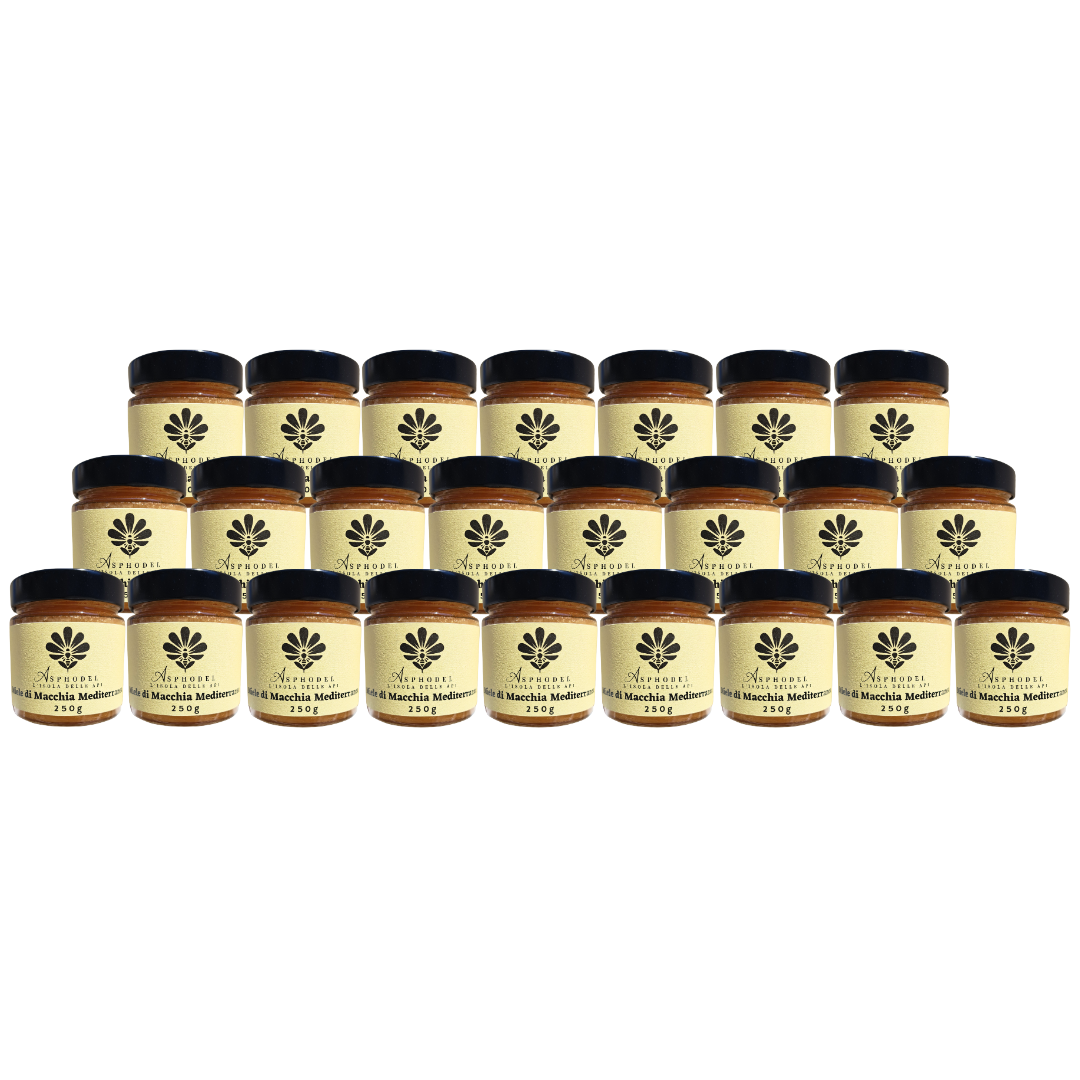 MACCHIA MEDITERRANEA - Wild natural mediterranean bush honey - 250g B2B 24 Jars
