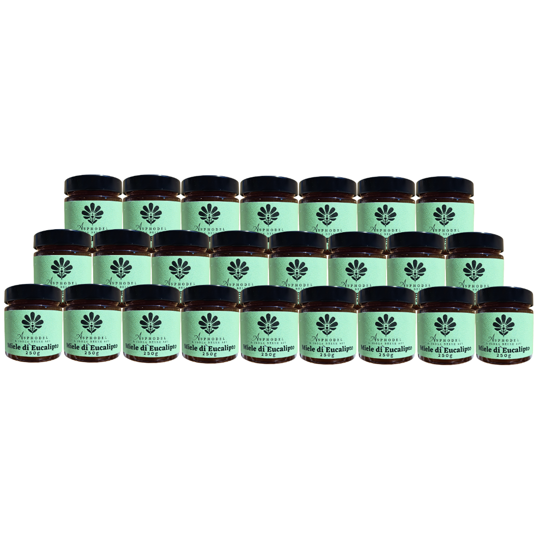 EUCALIPTO - Wild natural eucalyptus honey - 250g B2B 24 Jars
