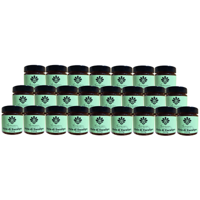 EUCALIPTO - Wild natural eucalyptus honey - 250g B2B 24 Jars