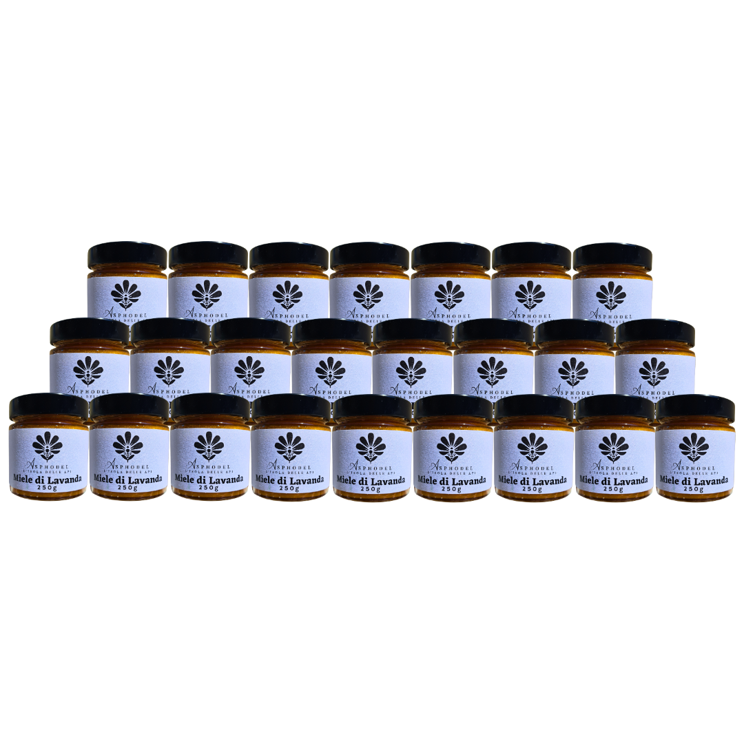 LAVANDA - Wild natural lavender honey - 250g B2B (24 Jars)