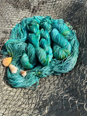 Blue-Green Damsel Fish