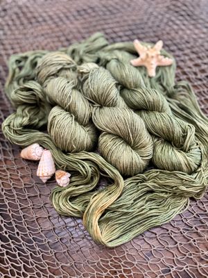 Seafoam Secrets