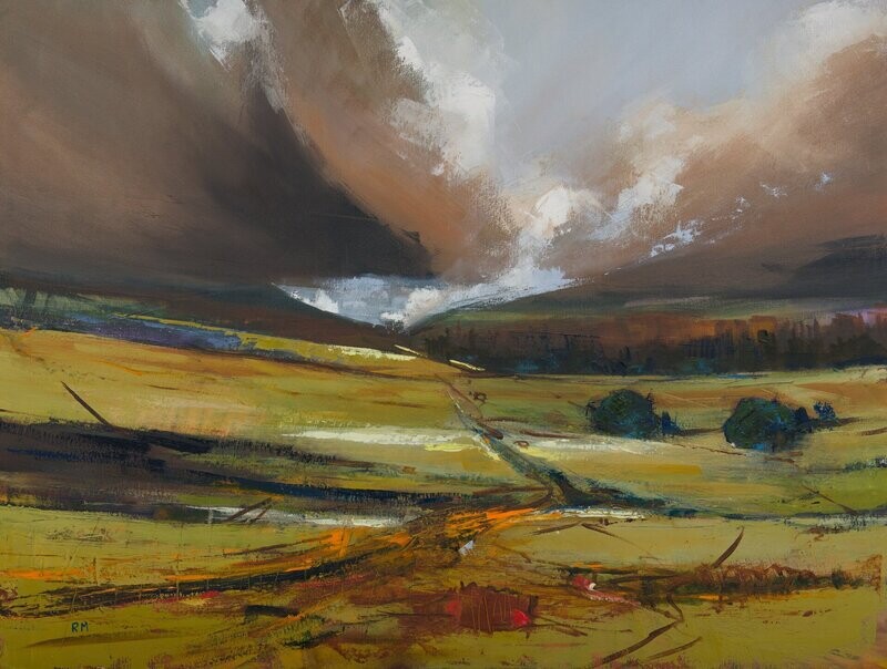 Plantation 5 West Pennine Moors . Print . 00046 . 1040x800mm