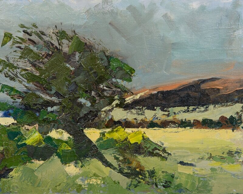 Above Roddlesworth the trees twist in the wind . Print . 00053