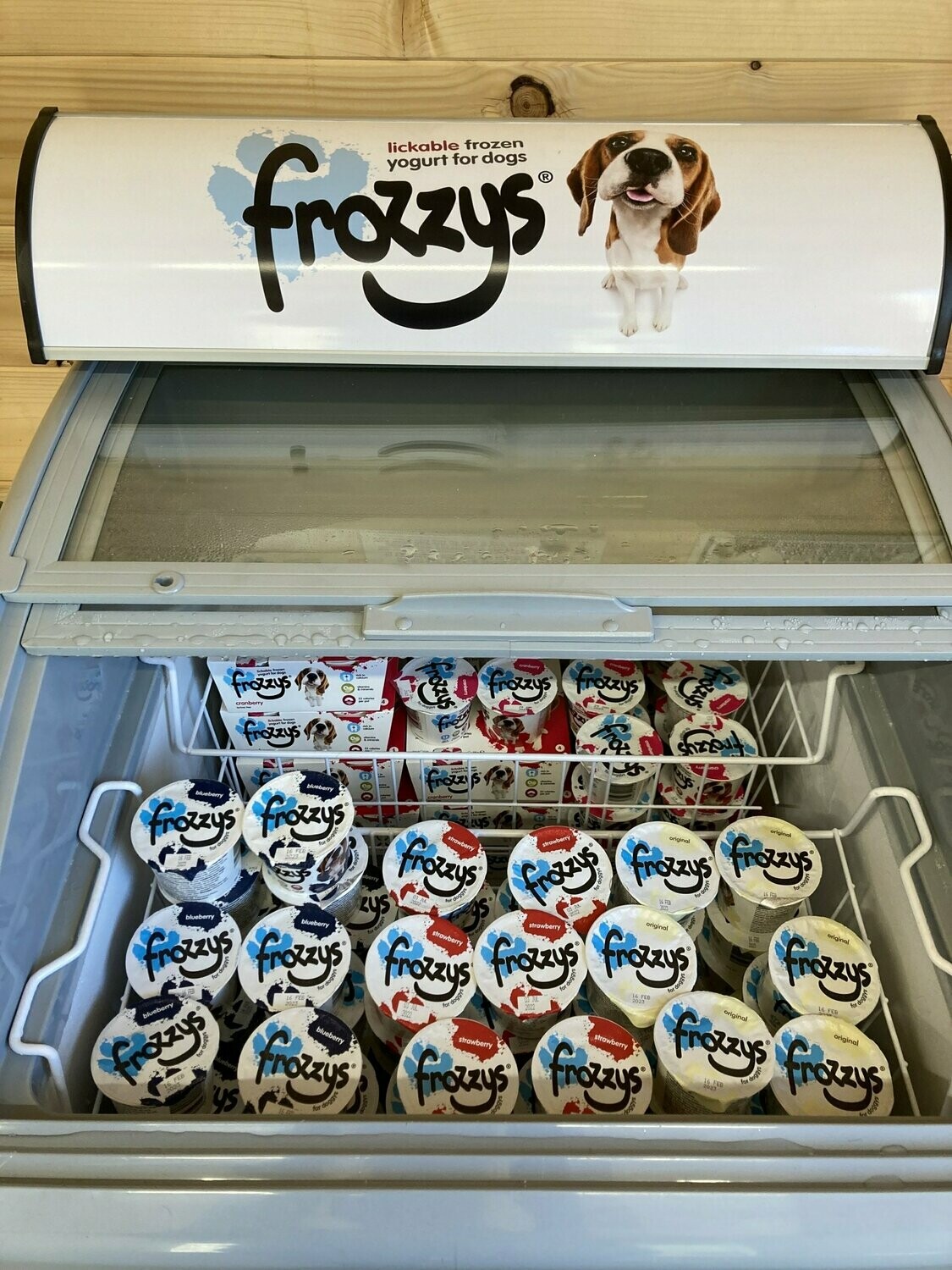 frozzys frozen yogurt