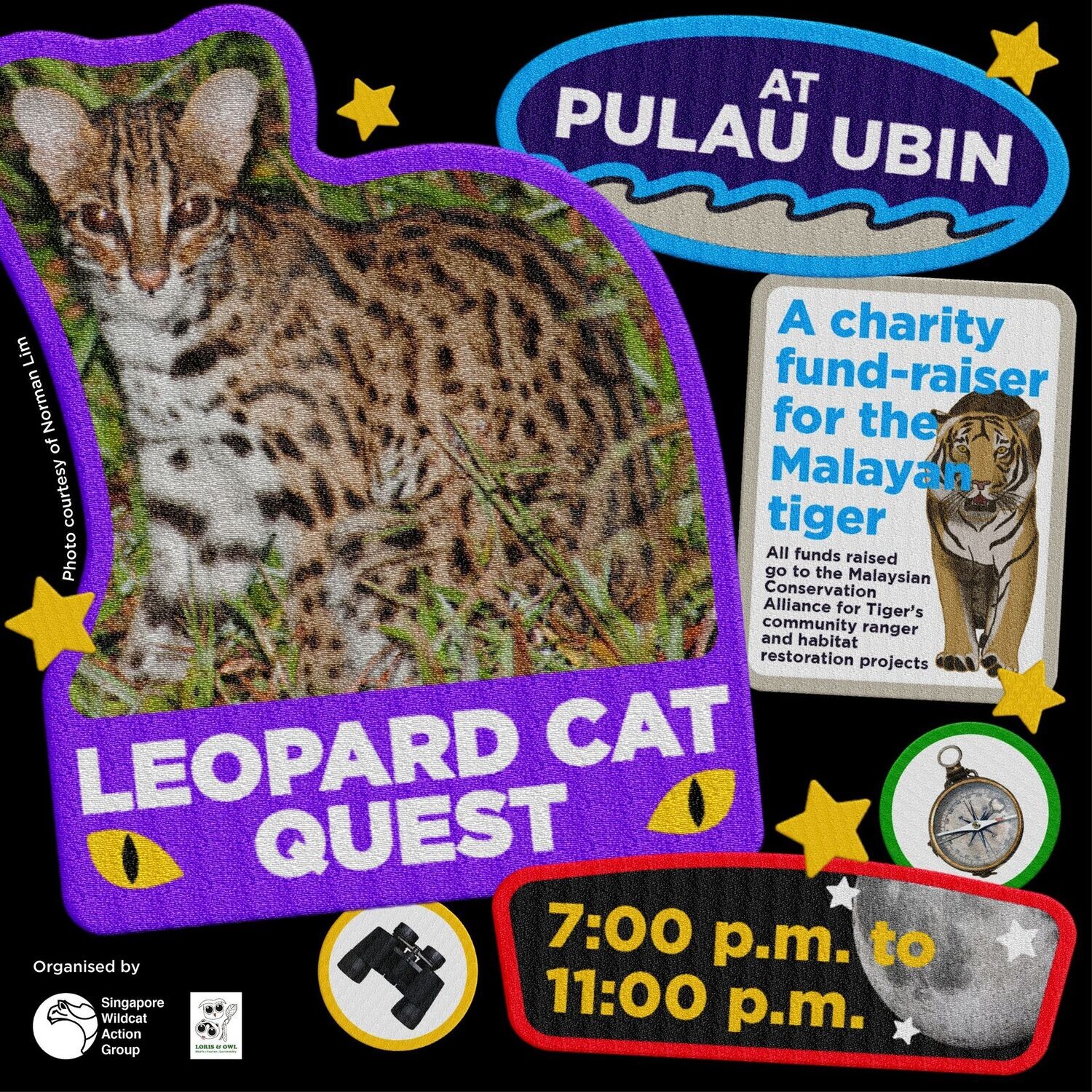 Leopard Cat QUEST @Ubin