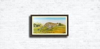Limited Edition Prints