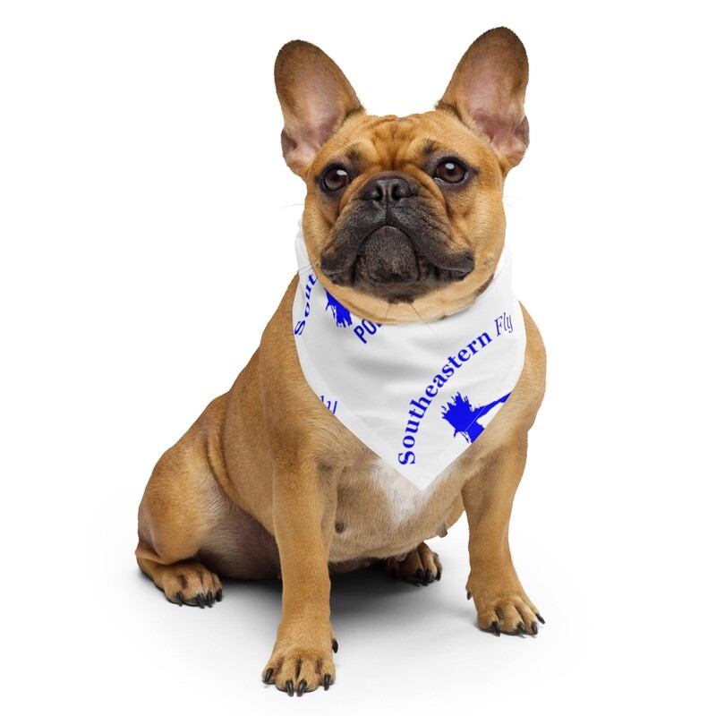 Puppy/Dog Bandana