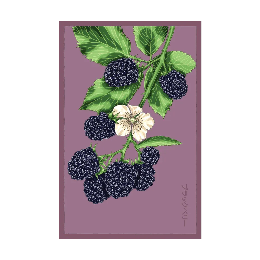 Blackberry Seed Packet
