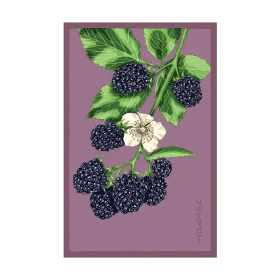 Blackberry Seed Packet