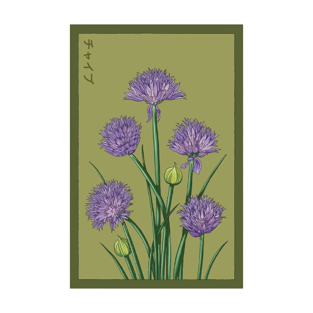 Chives Seed Packet