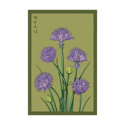 Chives Seed Packet