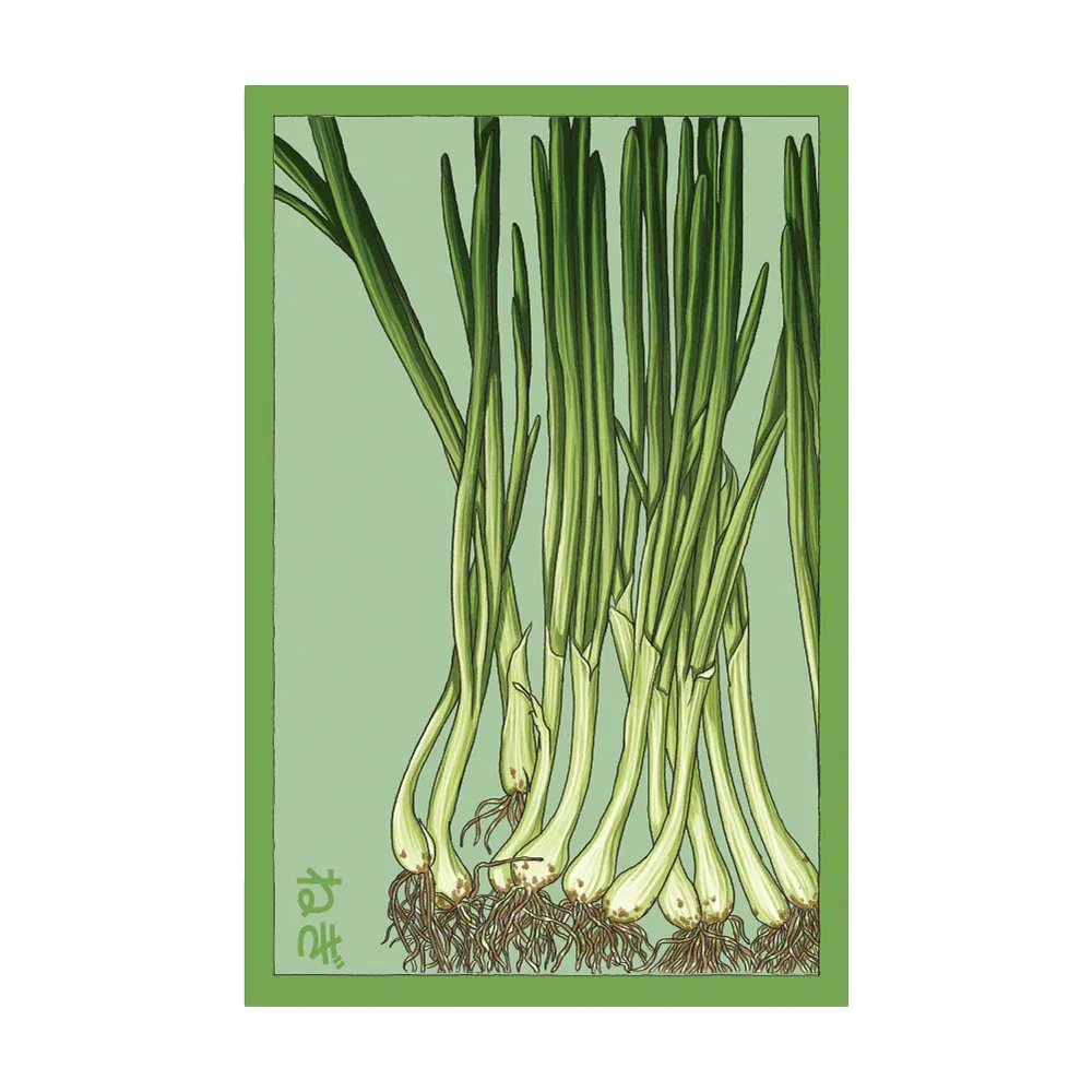 Scallions Seed Packet
