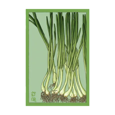 Scallions Seed Packet